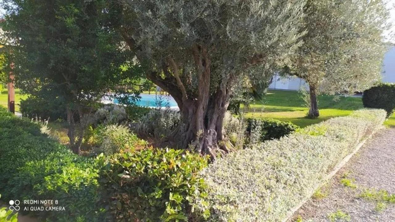 Luxurious 6 Bedroom Villa In A Great Location Chalkida Exterior foto